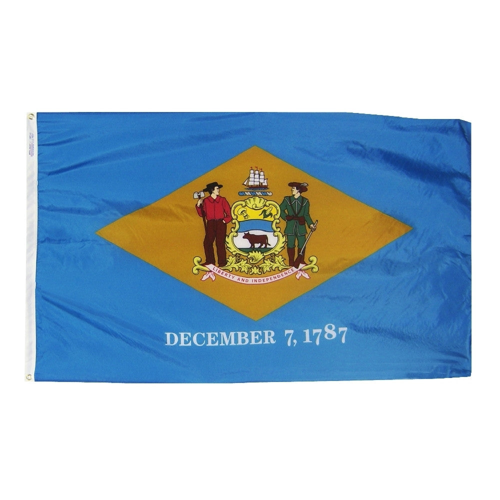 Delaware Courtesy Flag 12" x 18" - ColorFastFlags | All the flags you'll ever need!