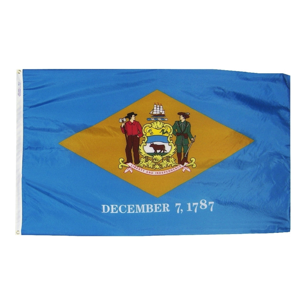 Delaware Courtesy Flag 12" x 18" - ColorFastFlags | All the flags you'll ever need! 
