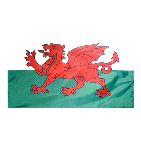 Wales Flag - ColorFastFlags | All the flags you'll ever need! 

