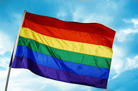 3' x 5' Polyester Rainbow Flag - ColorFastFlags | All the flags you'll ever need! 
